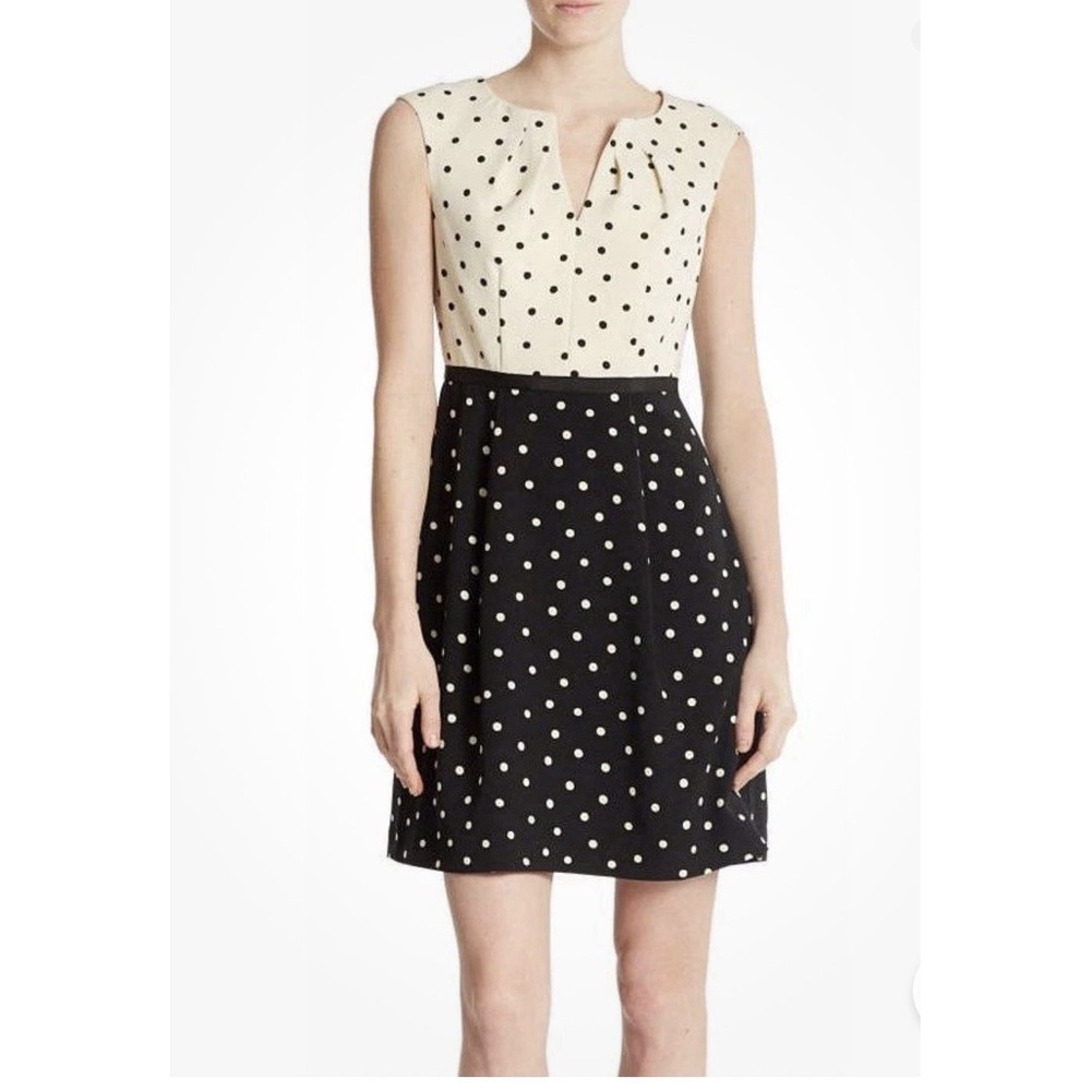 Adrianna Papell Ecru/Black Polka Dot Fit &‎ Flare Crepe Dress Size 10 NWT - Picture 2 of 10